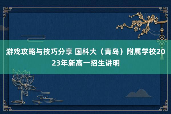 游戏攻略与技巧分享 国科大（青岛）附属学校2023年新高一招生讲明