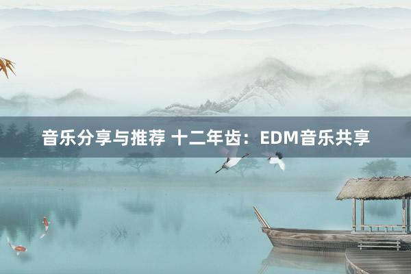 音乐分享与推荐 十二年齿：EDM音乐共享