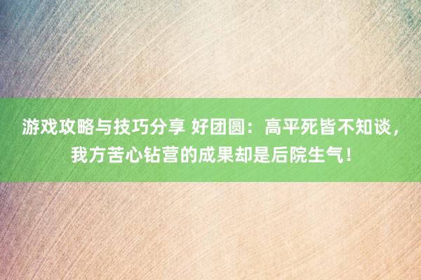 游戏攻略与技巧分享 好团圆：高平死皆不知谈，我方苦心钻营的成果却是后院生气！