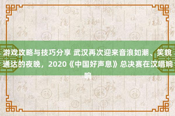 游戏攻略与技巧分享 武汉再次迎来音浪如潮、笑貌通达的夜晚，2020《中国好声息》总决赛在汉唱响