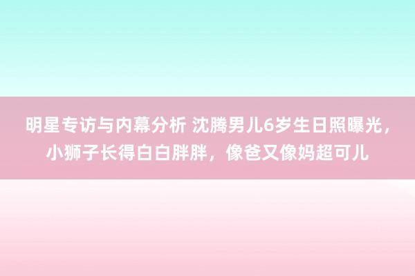 明星专访与内幕分析 沈腾男儿6岁生日照曝光，小狮子长得白白胖胖，像爸又像妈超可儿