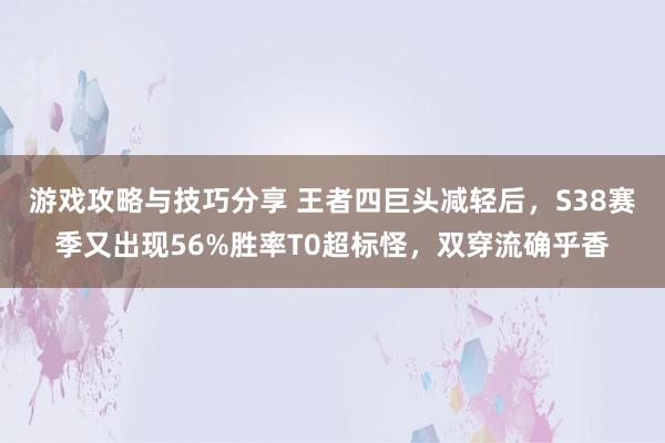 游戏攻略与技巧分享 王者四巨头减轻后，S38赛季又出现56%胜率T0超标怪，双穿流确乎香