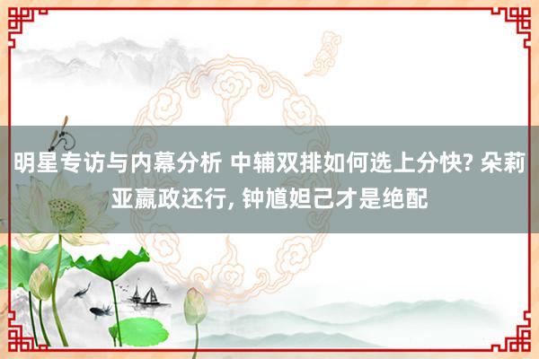 明星专访与内幕分析 中辅双排如何选上分快? 朵莉亚嬴政还行, 钟馗妲己才是绝配