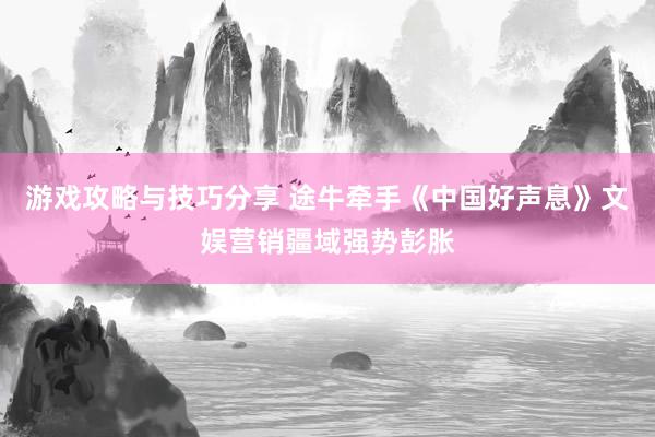 游戏攻略与技巧分享 途牛牵手《中国好声息》文娱营销疆域强势彭胀