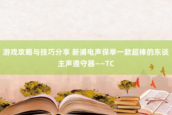 游戏攻略与技巧分享 新浦电声保举一款超棒的东谈主声遵守器——TC