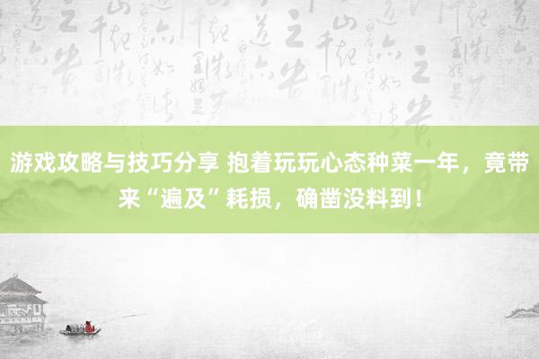 游戏攻略与技巧分享 抱着玩玩心态种菜一年，竟带来“遍及”耗损，确凿没料到！