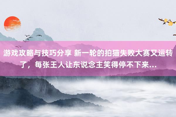 游戏攻略与技巧分享 新一轮的拍猫失败大赛又运转了，每张王人让东说念主笑得停不下来...