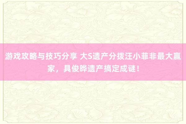 游戏攻略与技巧分享 大S遗产分拨汪小菲非最大赢家，具俊晔遗产搞定成谜！