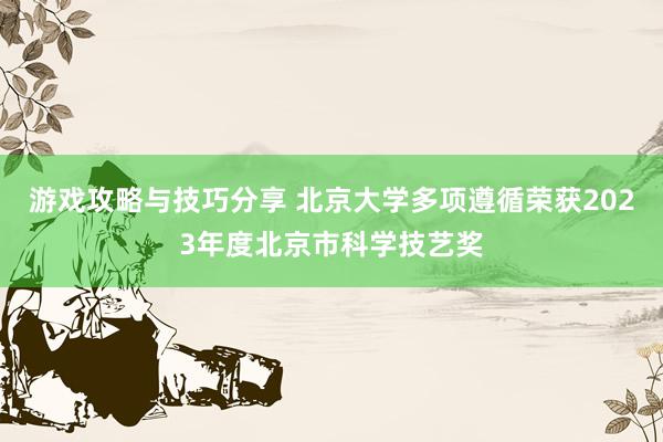 游戏攻略与技巧分享 北京大学多项遵循荣获2023年度北京市科学技艺奖